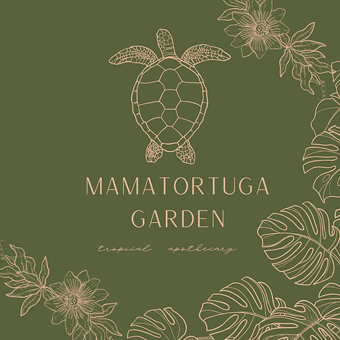 Nuevo logo Mama Tortuga Apotekary.png
