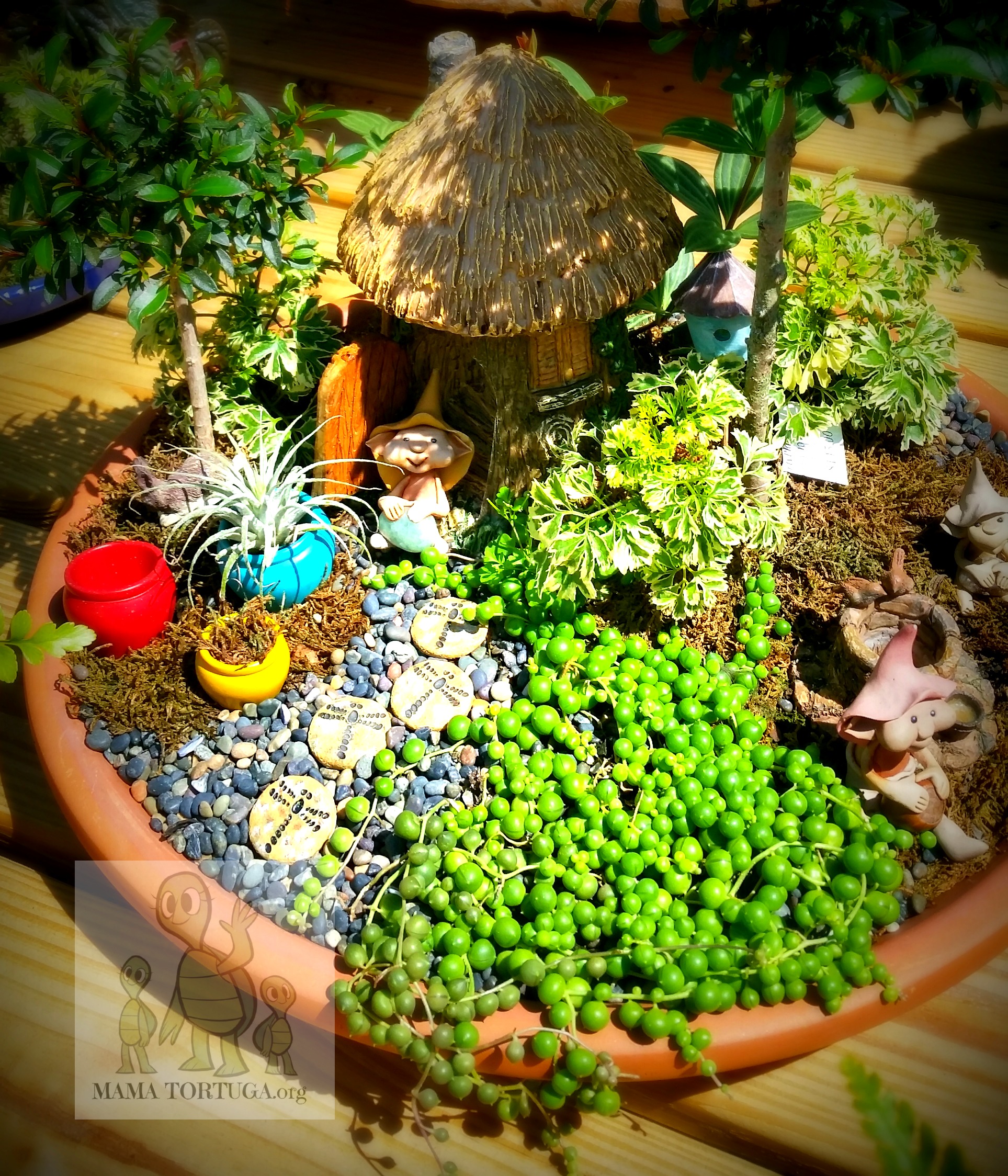 Fairygarden7