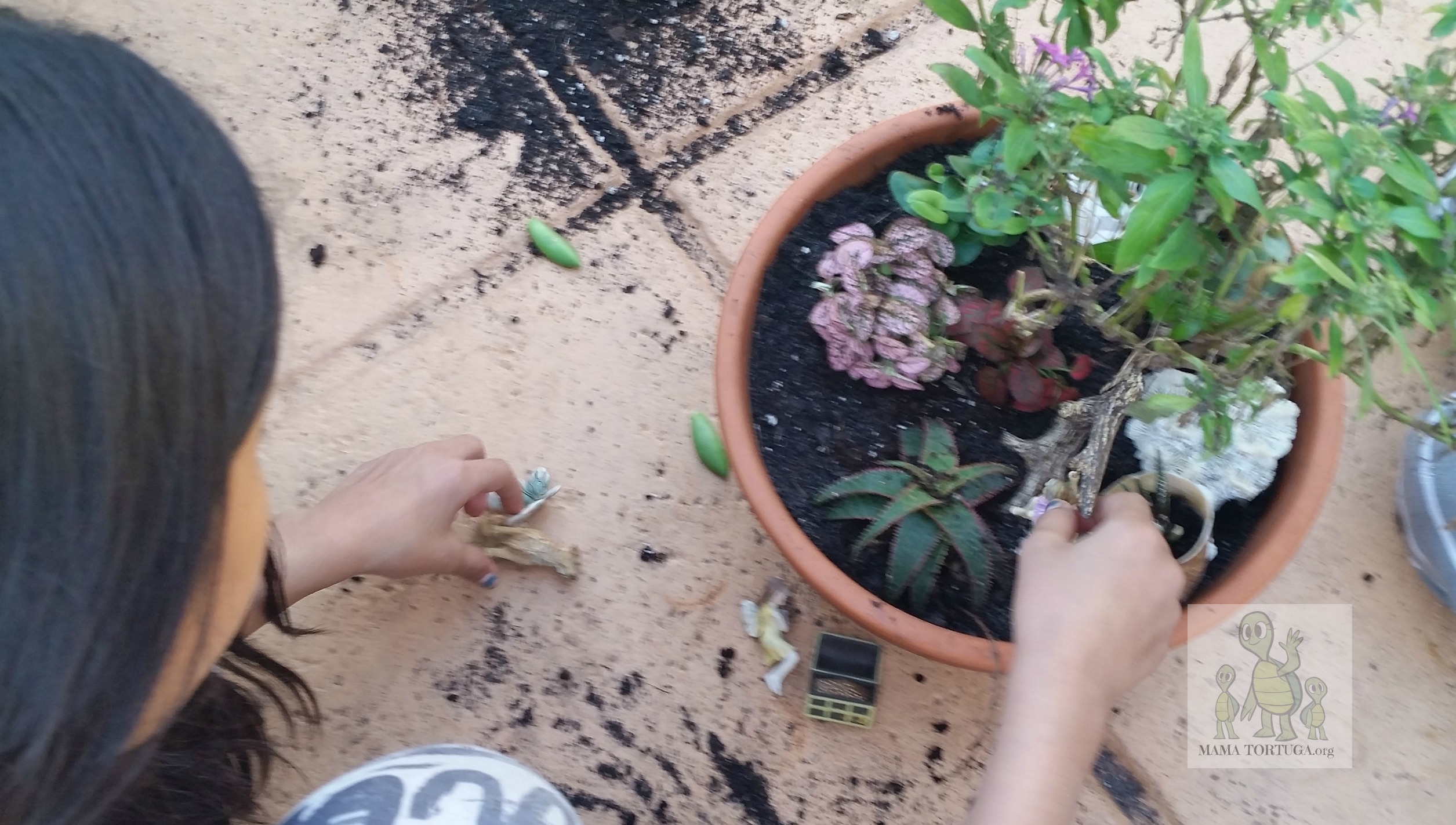 Fairygarden4