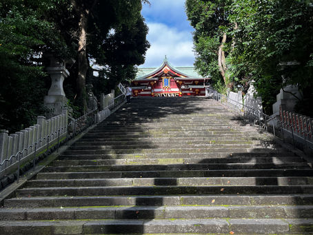 3月9日(日)日曜日も元気に受付中です💪