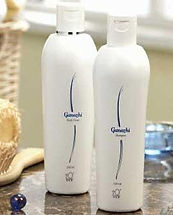 Gel de Baño Ganozhi