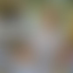 Circulair ontwerpen: kansen & uitdagingen