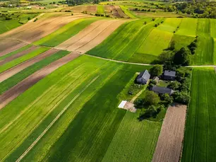 An aerial view of a farmland consisting of a lush field, trees, and three houses.