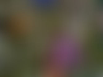 The Work of Christmas