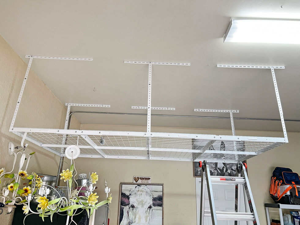 overhead garage storage rack