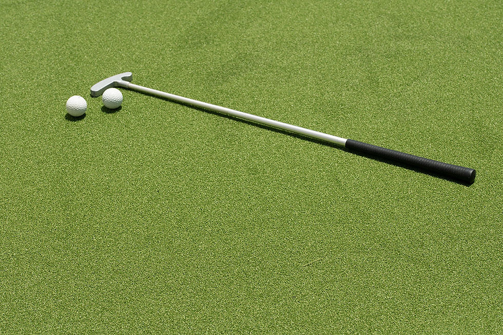 Thumbnail: Putting Green Turf 78