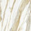 Thumbnail: Golden Angelite