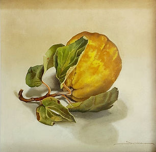 Membrillo.24x24.200jpg 2.jpg