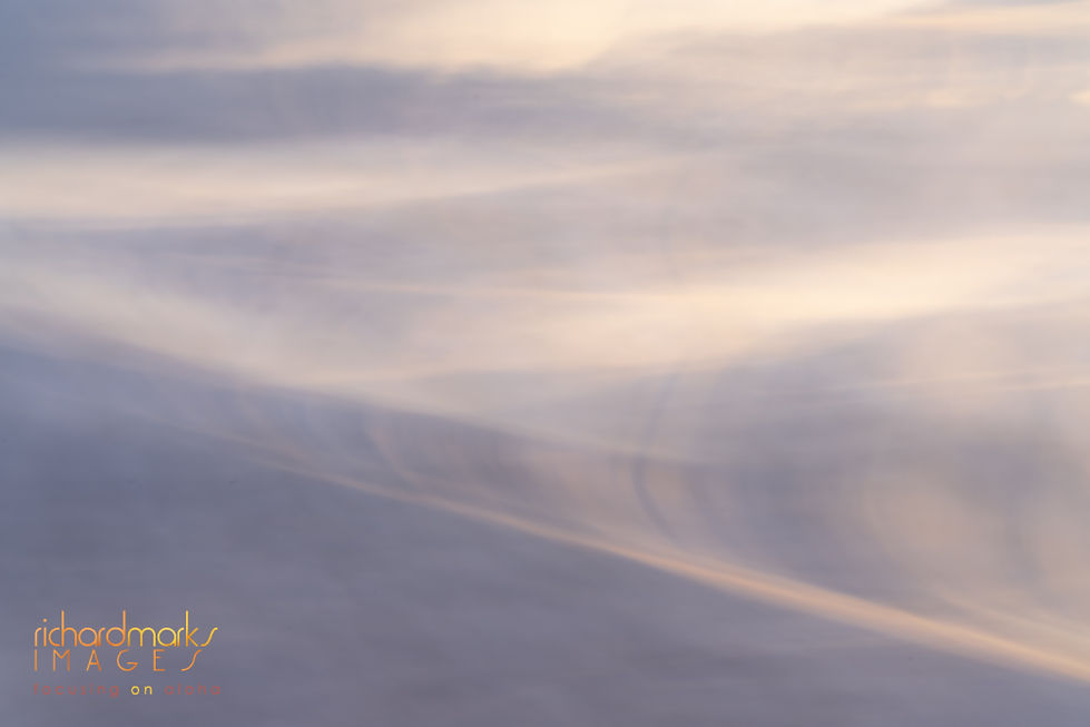 2019_05_16MauiOceanDream (11 of 12).jpg