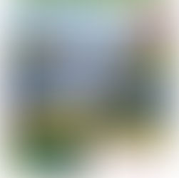 Haydarpaşa Liseliler Karadeniz'de