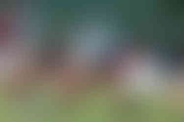 浜浦幸太郎(体育3年)