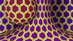 Domptez votre esprit...et retrouvez le calme intérieur