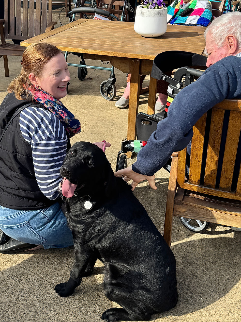 Therapy dog visit