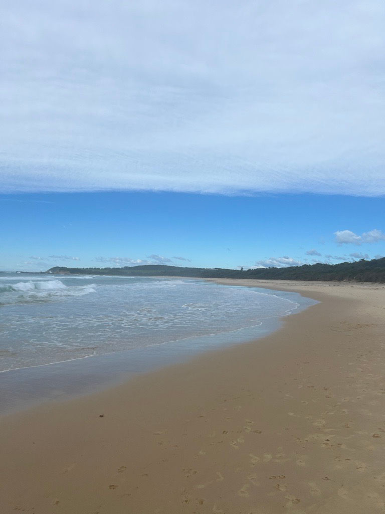 Moving to the Shoalhaven: Why More Allied Health Professionals Are Choosing the South Coast