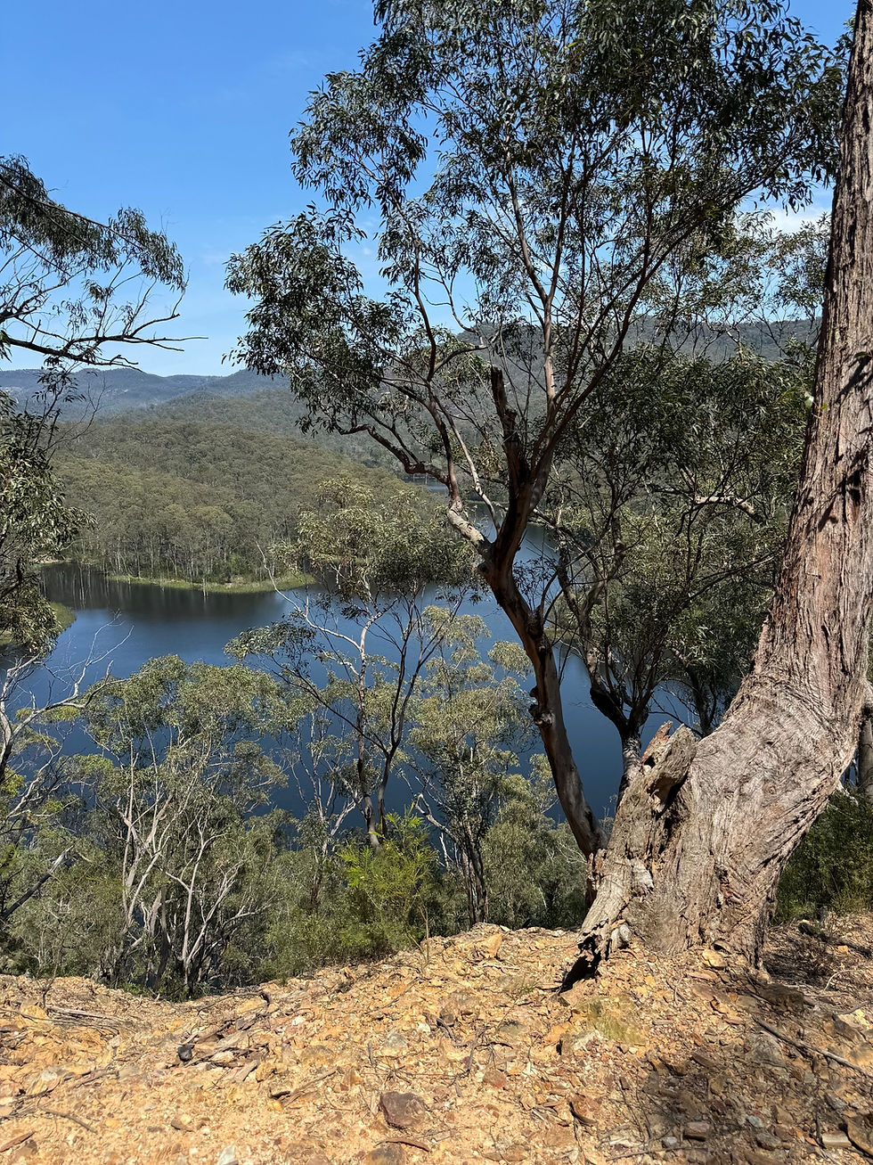 More Than a Job: Building a Meaningful Allied Health Career in the Shoalhaven