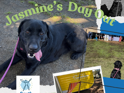 Jasmine the Therapy Dog’s Day Out at the Berry Farm & Lifestyle Field Day