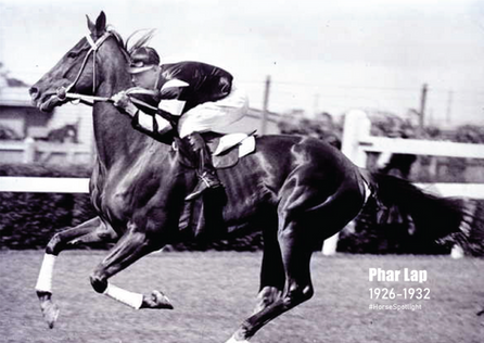 Horse Spotlight_Phar Lap_edited.png