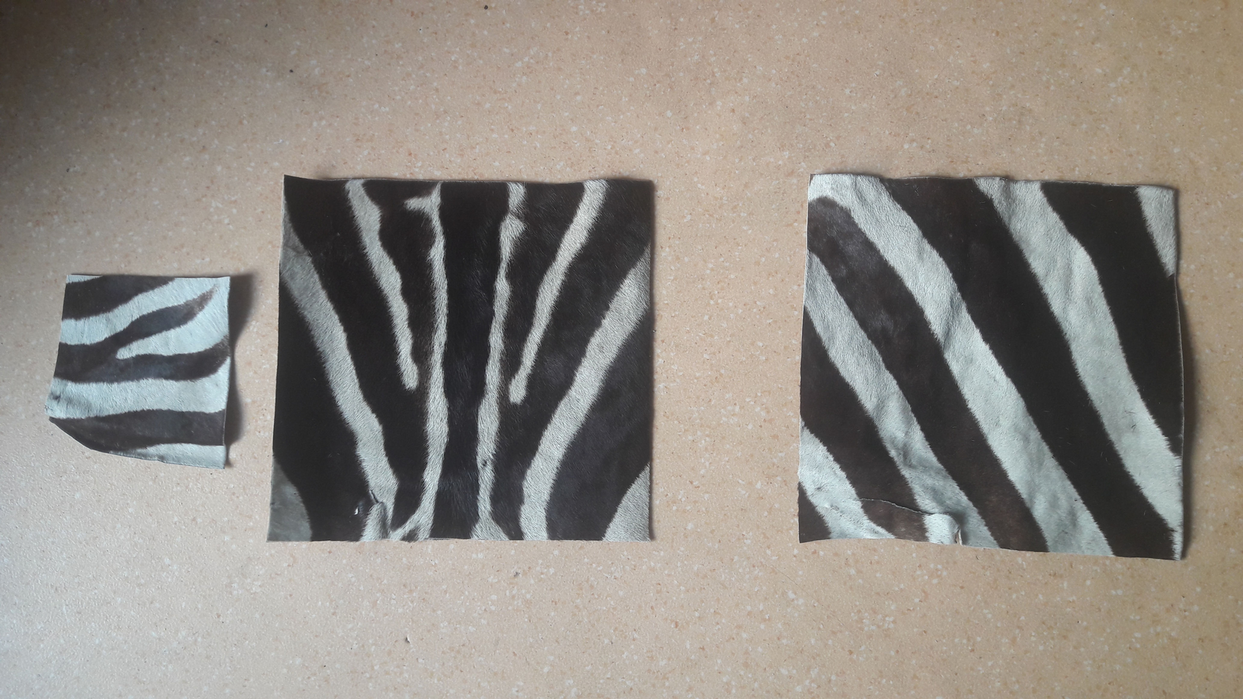 Peau de zèbre au choix