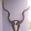 Miniature : Trophée de Grand Kudu ; Tragelaphus strepsiceros