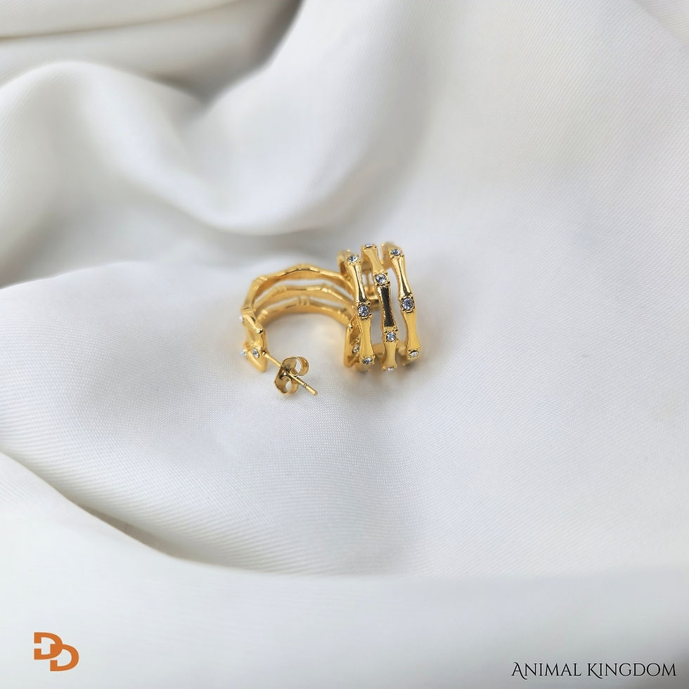 Thumbnail: Divyana hoop
