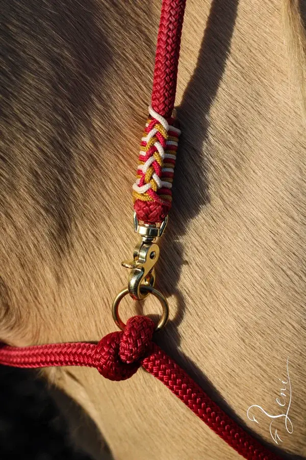 Bodenarbeitseil mit integriertem Halsring