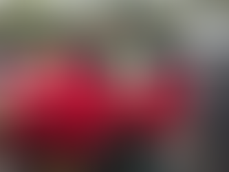 Shavano Park Winter Holiday Event