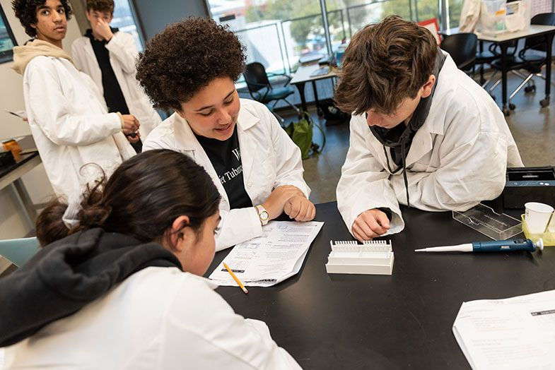 Crossroads School for Arts & Sciences