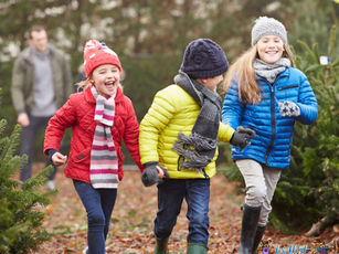 20 Free & Cheap Things to Do Over Winter Break with Kids in LA!