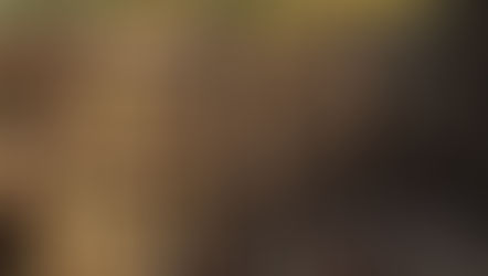 Best Destinations in India to Travel with Kids!