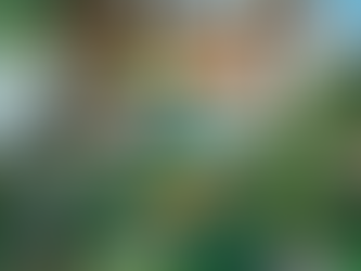 Dino Valley: A Roaring Addition to LEGOLAND California! 