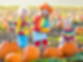 Fall Funtastic Harvest Festival