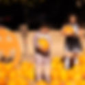 Pumpkin Party