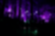 Astra Lumina: An Enchanted Night Walk Amongst the Stars