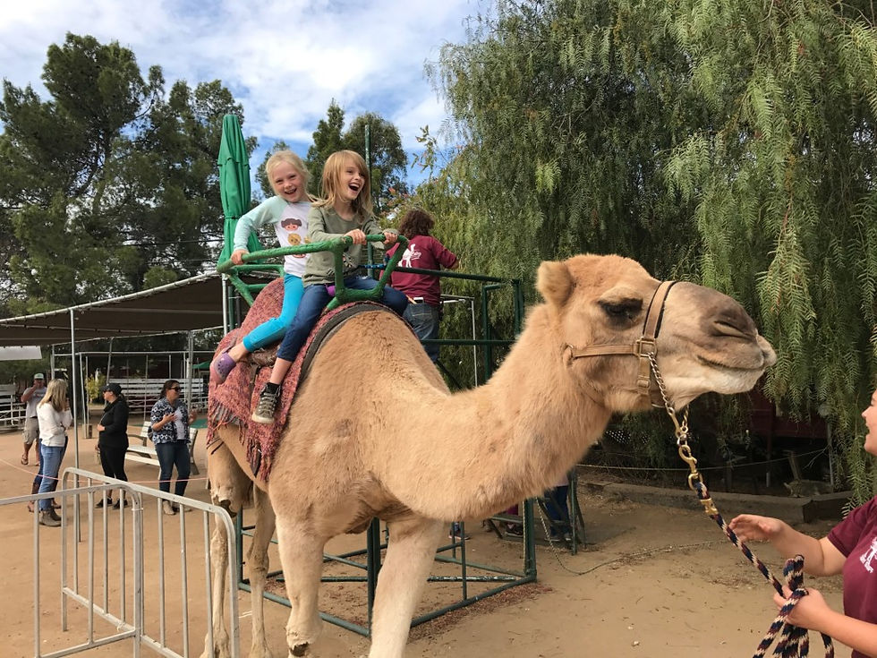 Two girls enjoying a camel ride at Oasis Camel Dairy near Los Angeles, experiencing a fun and family-friendly farm adventure