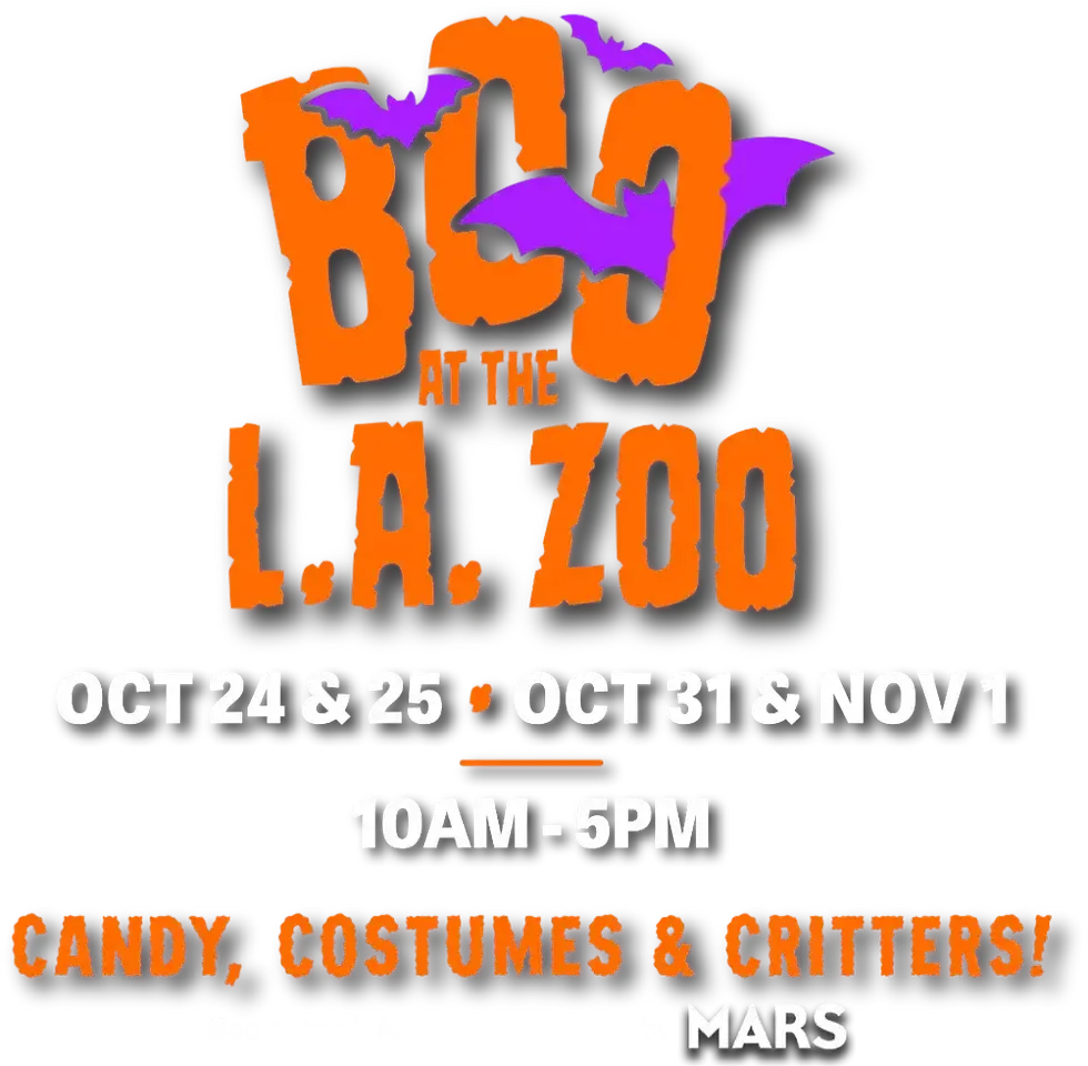 Boo at the L.A. Zoo