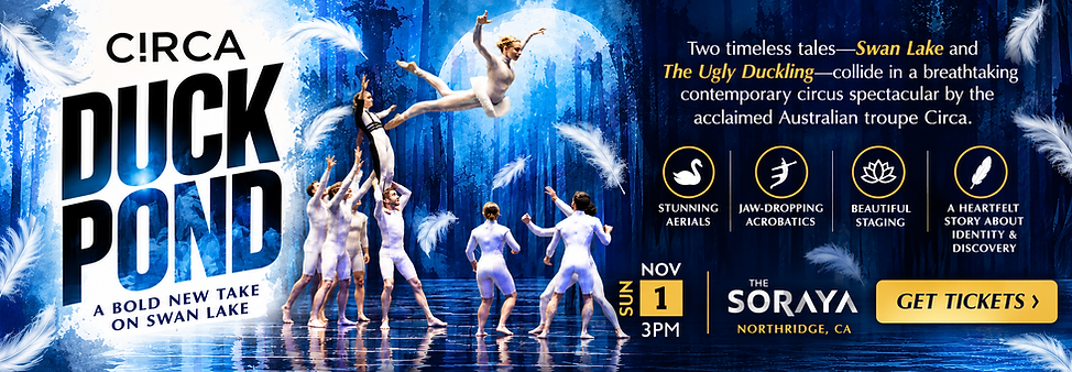 Banner - Duck Pond_ Aerial Circus Spectacular.png