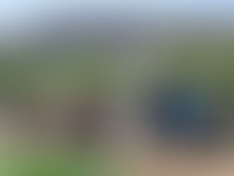 Exploring Tanaka Farm: Ultimate Guide to U-Pick, Festivals, and More! 🧑‍🌾🍅