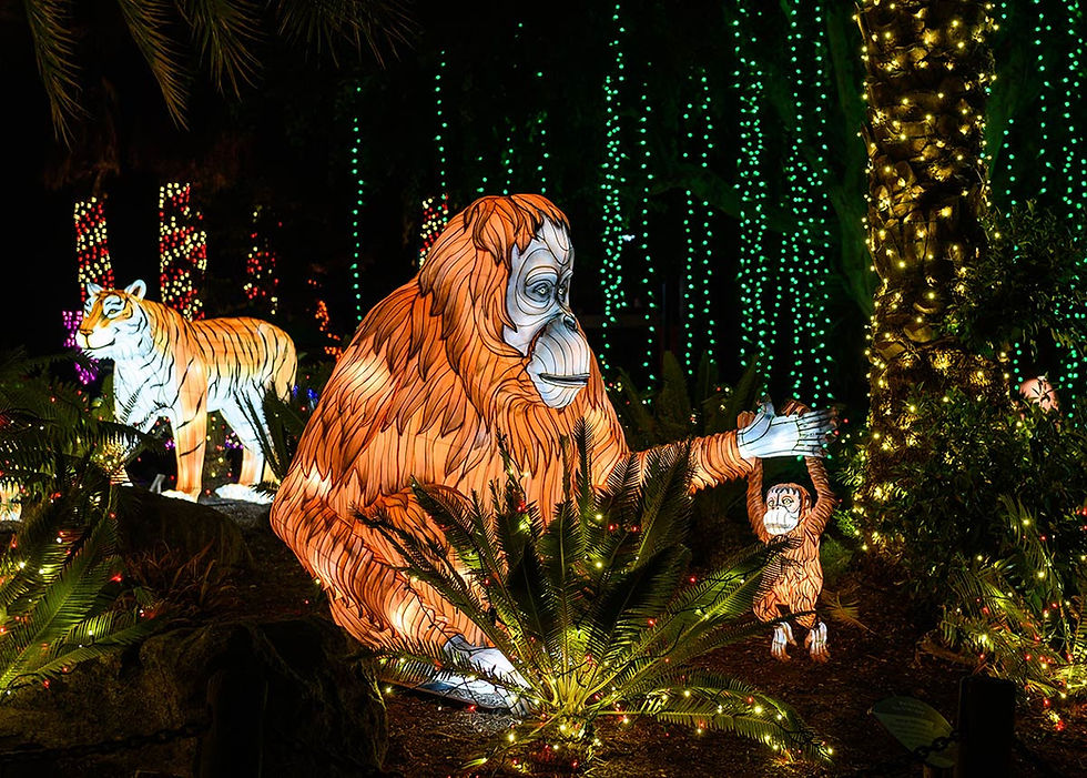 Thumbnail: LA Zoo & Botanical Gardens