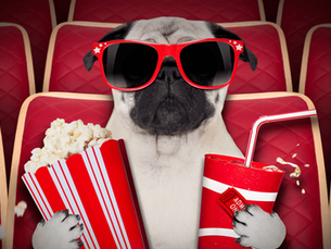 18 Heartwarming Films 🍿 for a Family-Friendly Valentine's Day Movie Night! 