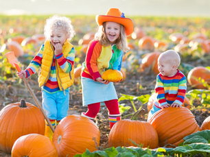 Huge List of Pumpkin Patches and Fall Festivals in and near Los Angeles!