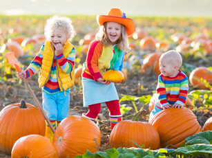 Best Pumpkin Patches and Fall Festivals in and near Los Angeles! 