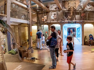 Discover the New Noah’s Ark at the Skirball: Bigger, Better & Full of Wonder!