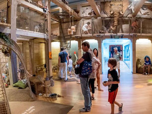 Discover the New Noah’s Ark at the Skirball: Bigger, Better & Full of Wonder!