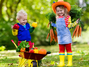 29 Amazing Family Farms and Petting Zoos Near Los Angeles 2025! 