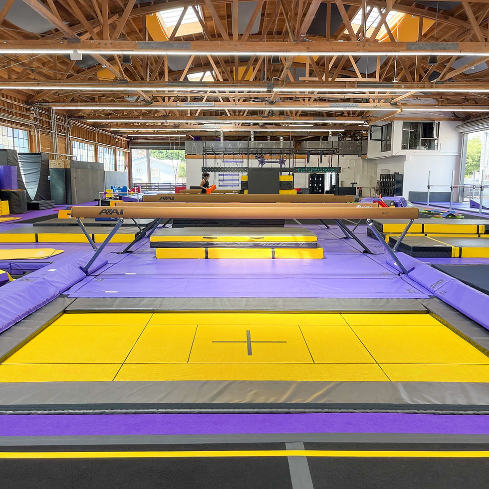 Thumbnail: The Rise Gym