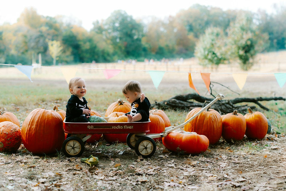 Trunk or Treat Harvest Fest