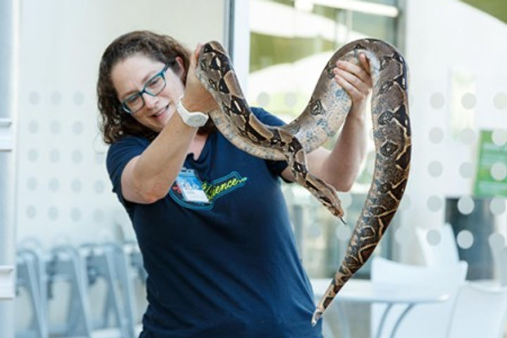 Meet a Live Animal at the Natural History Museum