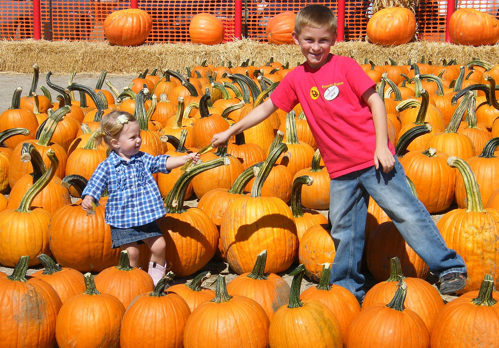 Forneris Farms Pumpkin Patch