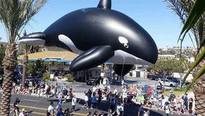 The Annual Festival of Whales Is Coming To Dana Point this March!