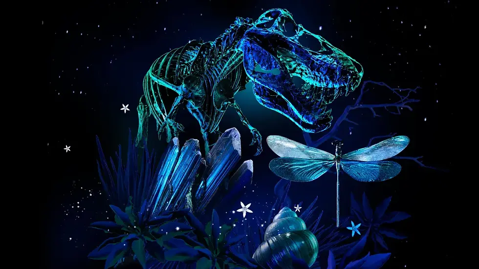 NightTales at the Natural History Museum of L.A. County